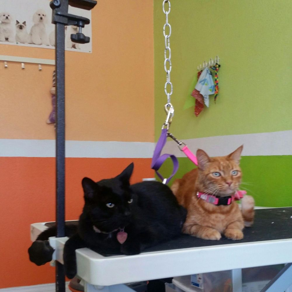 We Groom Pets - Pet Groomers Near Me - Downey, California We Groom Pets - Pet Groomers Near Me - Downey, California