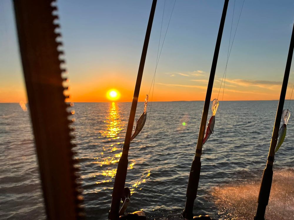 FULLY INVOLVED SPORTFISHING CHARTERS Updated September 2024 Request