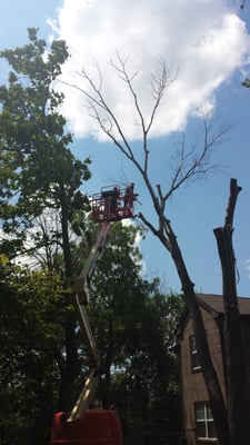 Benchmark Property Services