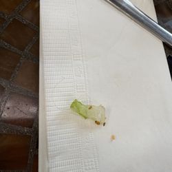 Daisy McBean's - Then I found this hair after having a nibble mixed into the lettuce  also refused to refund us for their trash