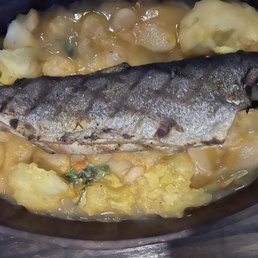 Trout Trout