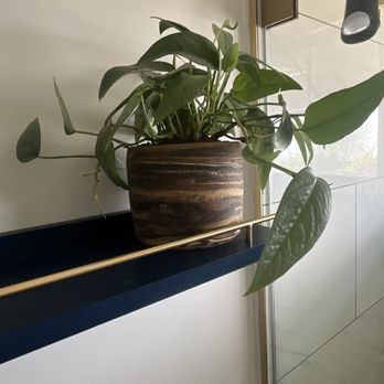 Green House - New addition to bathroom with cute pottery - Nurseries & Gardening Near Me - Granada Hills, California Green House - New addition to bathroom with cute pottery - Nurseries & Gardening Near Me - Granada Hills, California
