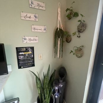 Healing Touch Massage Studio - Massage Therapy Near Me - Apollo Beach, Florida