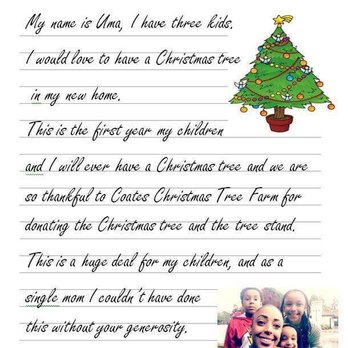 Coates Christmas Trees Farm - Christmas Trees Near Me - Auburn, Washington
