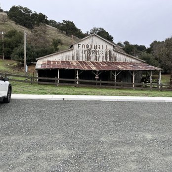 Tyler Ranch - Parking lot - Parks Near Me - Sunol, California Tyler Ranch - Parking lot - Parks Near Me - Sunol, California