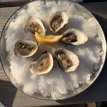 Stewman's Lobster Pound - Half dozen oysters - Seafood Near Me - Bar Harbor, Maine