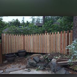 Fences NW