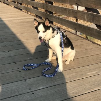 Mountain Shadow Kennels - Pet Sitting Near Me - West Bountiful, Utah Mountain Shadow Kennels - Pet Sitting Near Me - West Bountiful, Utah