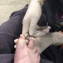 Photo of CC's Nail Spa