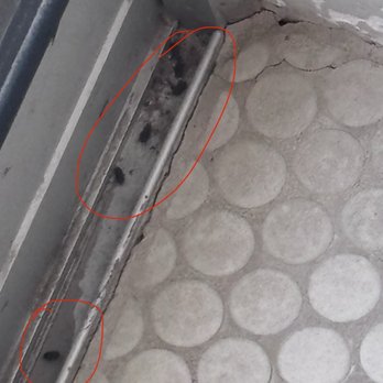 Talking Stick Resort - More dead bugs. - Resorts Near Me - Scottsdale, Arizona Talking Stick Resort - More dead bugs. - Resorts Near Me - Scottsdale, Arizona