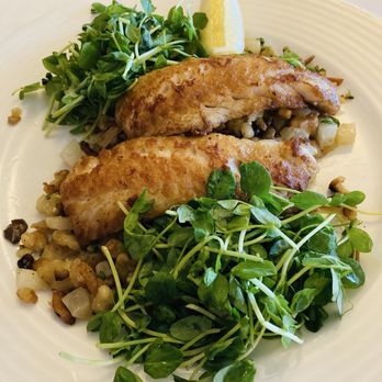 Scoma's Restaurant - Pacific Snapper with wild mushroom spatzle, green garlic lemon butter - Seafood Near Me - San Francisco, California Scoma's Restaurant - Pacific Snapper with wild mushroom spatzle, green garlic lemon butter - Seafood Near Me - San Francisco, California