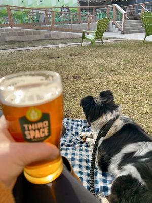 Third Space Brewing by null