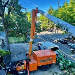 All About Trees - Tree Pruning and Removal Service
