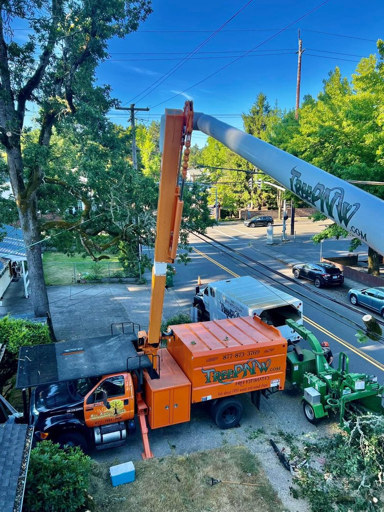 All About Trees - tree service in Hillsboro, OR