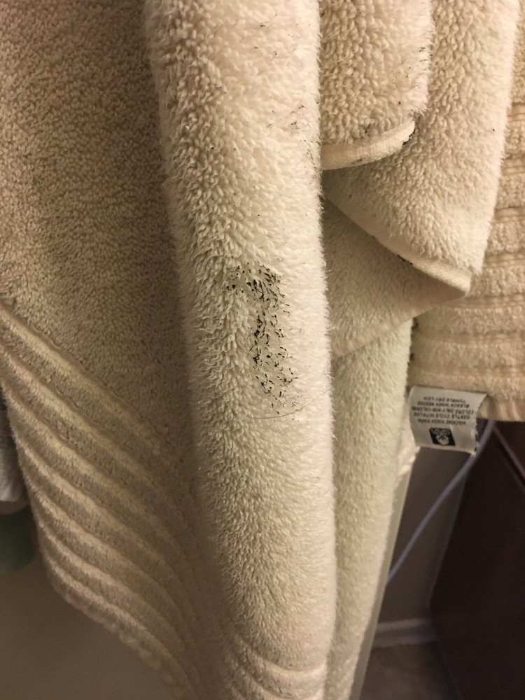 Slide of Jake The Snake Drain Cleaning