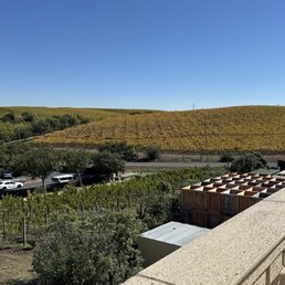 View View