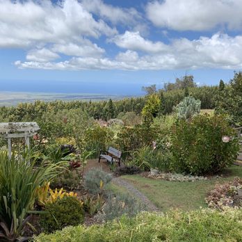 Ali'i Kula Lavender - Tours Near Me - Kula, Hawaii Ali'i Kula Lavender - Tours Near Me - Kula, Hawaii