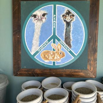 Ostrichland USA - Attraction Farms Near Me - Solvang, California Ostrichland USA - Attraction Farms Near Me - Solvang, California