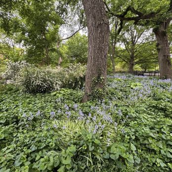 Tompkins Square Park - Parks Near Me - New York, New York Tompkins Square Park - Parks Near Me - New York, New York