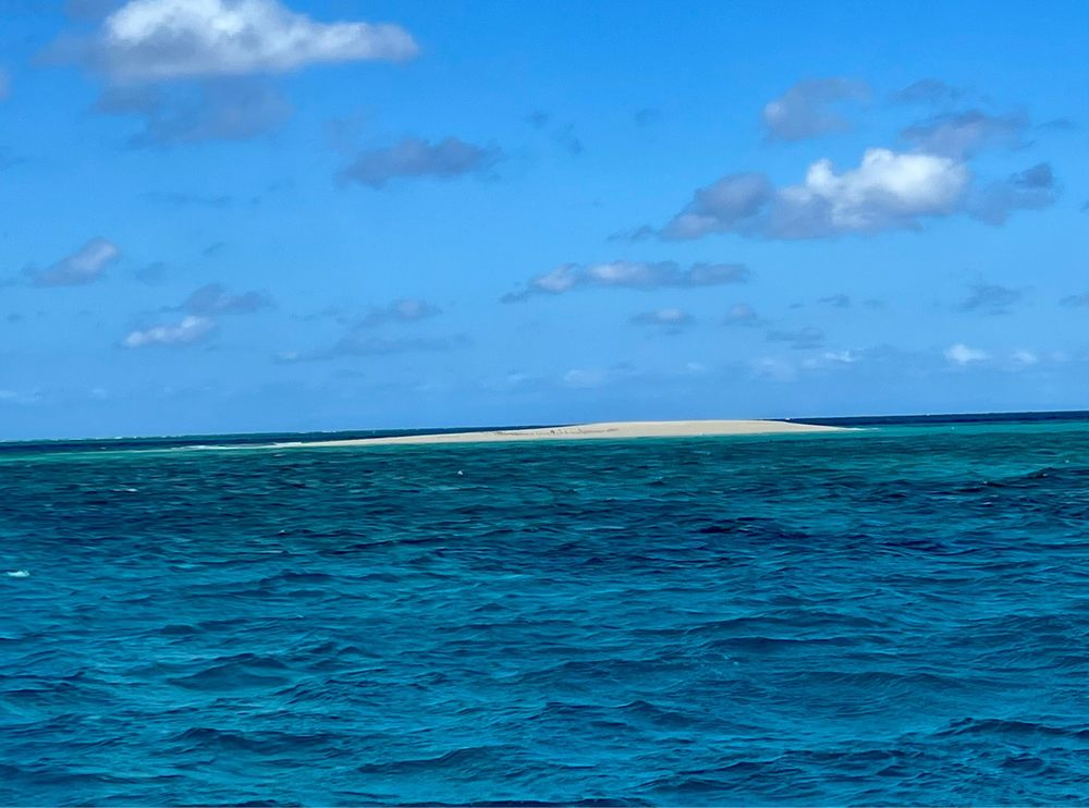 MISSION BEACH DIVE CHARTERS Updated August 2024 Homestead Centre