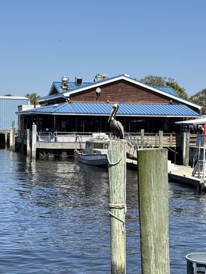Safe Harbor Seafood Restaurant by null