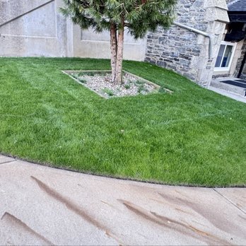Lemus Landscaping - Limpio - Landscaping Near Me Lemus Landscaping - Limpio - Landscaping Near Me