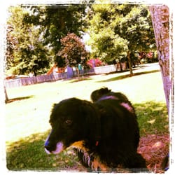 East Cobb Park - A great place.