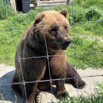 Alaska's Finest Tours & Cruises - Tours Near Me - Anchorage, Alaska Alaska's Finest Tours & Cruises - Tours Near Me - Anchorage, Alaska