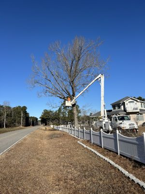 Watts Backhoe & Tree Service on Yelp