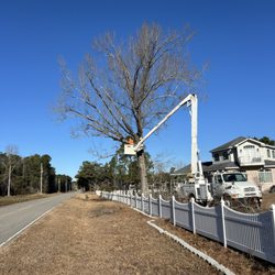 Watts Backhoe & Tree Service