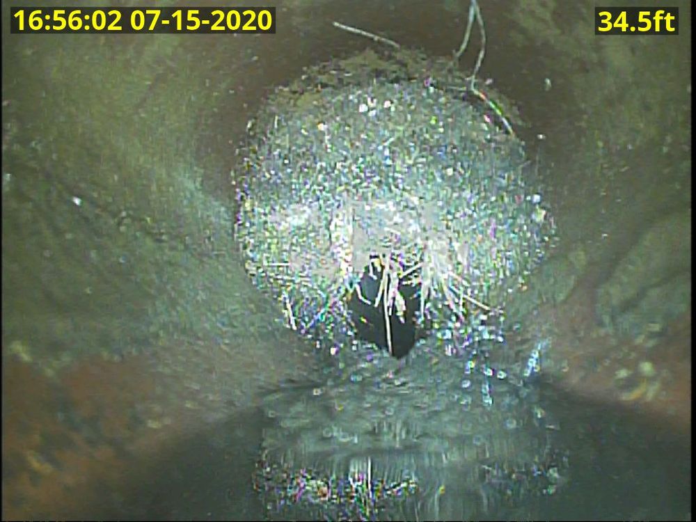 Slide of Down Low Services