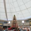 Park City Center gift card