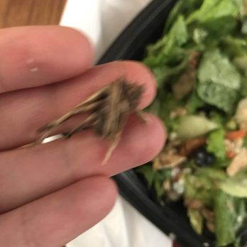 Chick-fil-A - Fast Food Near Me - Oxnard, California Chick-fil-A - Fast Food Near Me - Oxnard, California