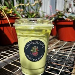 Plantology Café - This iced matcha hit the spot.