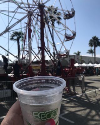 California Avocado Festival by null