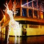 Photo of Argyle Street Reindeer