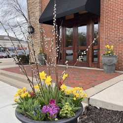 Biaggi's Ristorante Italiano - Entry