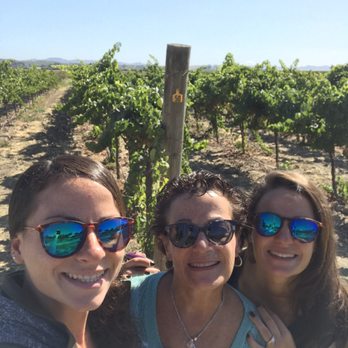 Nicholson Ranch Winery - Picking grapes! - Wineries Near Me - Sonoma, California Nicholson Ranch Winery - Picking grapes! - Wineries Near Me - Sonoma, California