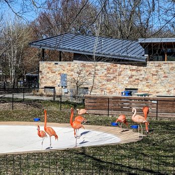 Henry Vilas Park Zoo - Zoos Near Me - Madison, Wisconsin Henry Vilas Park Zoo - Zoos Near Me - Madison, Wisconsin