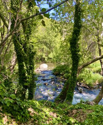 Briar Patch Inn by null
