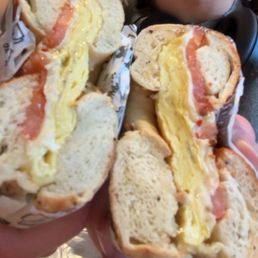 Egg & Cheese Egg & Cheese