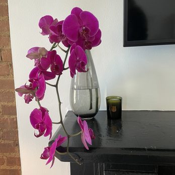 Hudson River Flowers - Cut orchids - Florists Near Me - New York, New York Hudson River Flowers - Cut orchids - Florists Near Me - New York, New York