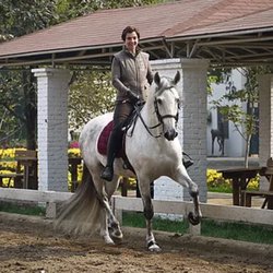 Karuna Stables