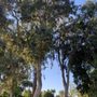 Photo of Ygnacio Valley Park