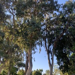 Ygnacio Valley Park - Parking lot area