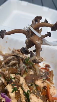 Hippie Hibachi by null