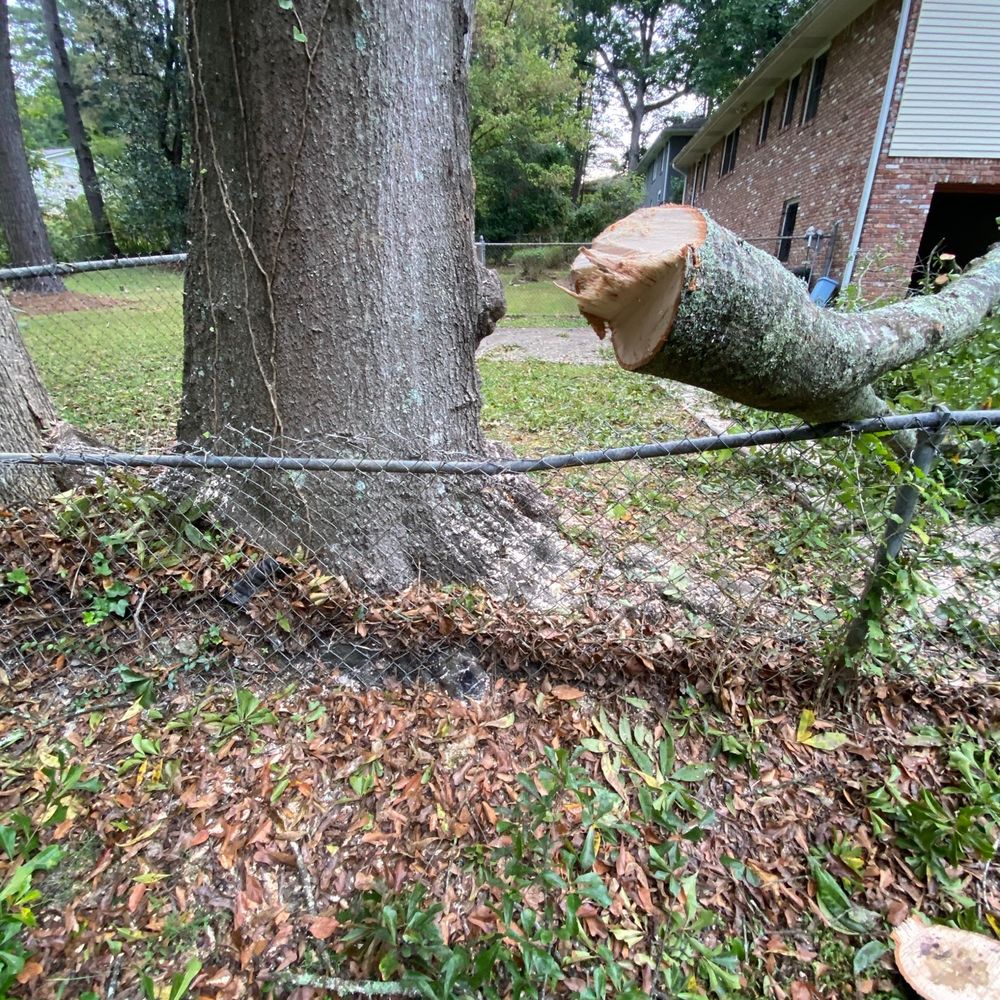 Hernandez Tree Services - They said it was like this before they started. They have no accountability. - Tree Services Near Me - Norcross, Georgia Hernandez Tree Services - They said it was like this before they started. They have no accountability. - Tree Services Near Me - Norcross, Georgia