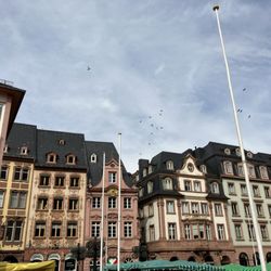 Wochenmarkt am Dom - Wochenmarkt am Dom