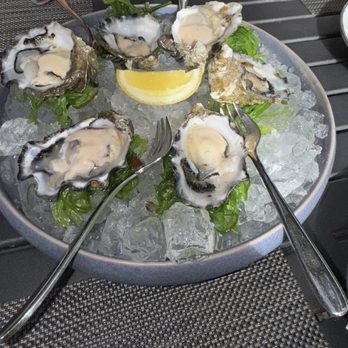 Americana House - Hog island oysters - American Near Me - Lodi, California Americana House - Hog island oysters - American Near Me - Lodi, California