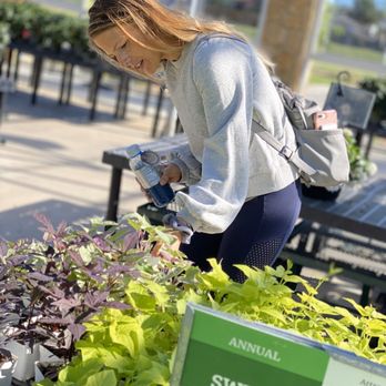 Calloway's Nursery - Summer colors! - Nurseries & Gardening Near Me - Fort Worth, Texas Calloway's Nursery - Summer colors! - Nurseries & Gardening Near Me - Fort Worth, Texas